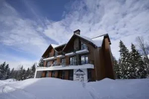 Alliance Villa Gоderdzi
