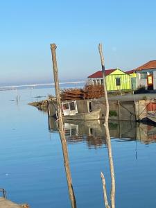 Maisons de vacances 