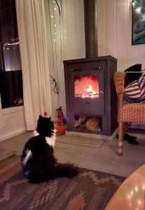 The Outpost Lakehouse- enjoy our house at Reeuwijkse Plassen - near Gouda