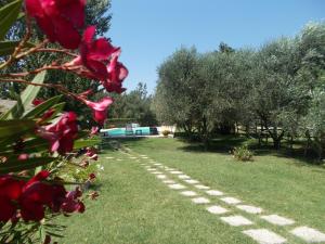 Agriturismo Camera dei ladri