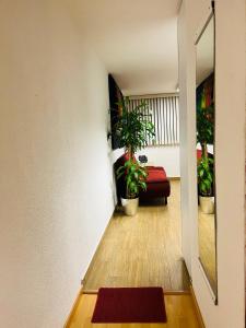 Cómodo y Pintoresco Depa Al sur de La Ciudad!