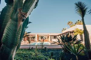 Miramar Boutique Apartments ADULTS ONLY CORRALEJO