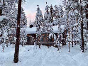 Lapland Lodge Pyhä Ski in, sauna, free WiFi, national park - Lapland Villas