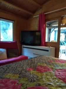 Chalets OASIS : photos des chambres