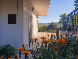 House in Lozetsi Village