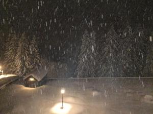 Appartements Appartement Velaer Valmorel : Appartement 1 Chambre