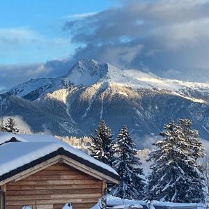 Woodland Village Anzère