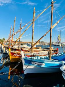 Maisons de vacances Au Petit Paradis : photos des chambres