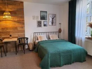 Apartamenty Deptak - w centrum Karpacza, parking w cenie! - 卡尔帕奇