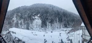 Писанка Плюс