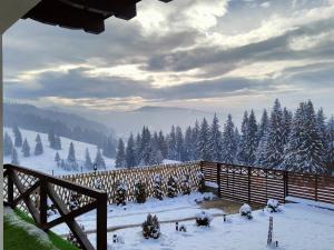 Bucovina Sky View