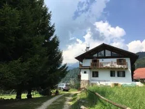 CASA BERNARD Zortea VANOI cuore verde del Trentino - Prade