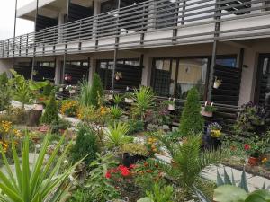 Dream Resort (Adults only 14+)