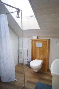 Apartamenty Koniaków Froggy House