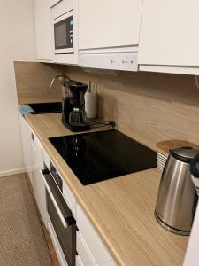 Cozy centre apartament Kuopio