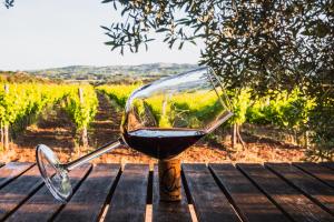 Funtana'e Mari img17