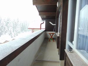 Ski apartment Mimi Iglika 2