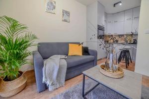 Apartament na Zlotej Podkowie