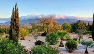 Finca Vista Valle