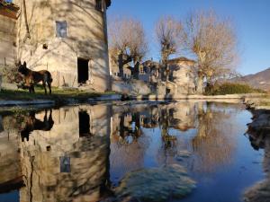 B&B / Chambres d'hotes Chateau de Beaucouse : photos des chambres