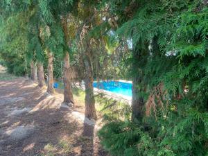 Casa de Pereiras, Vimioso