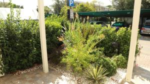 Condominio Diana Est- Gemini