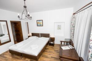 Double Room room in Pensiunea Rhein