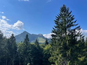 Ferienwohnung Florina