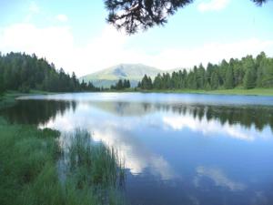 Haus Andreas - Ferienwohnungen