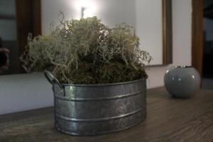 Ferienwohnung Staudacher