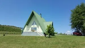 Vila Zeleno borje - Košari