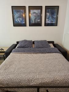 Appartements ***Suite Regence * 5min Disney & Shopping * NEW*** : photos des chambres