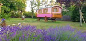 Maisons de vacances Propriete d'une chambre avec piscine partagee jardin clos et wifi a Bussac Foret : photos des chambres