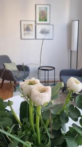 Appartements Au 53, sous le chartil : photos des chambres