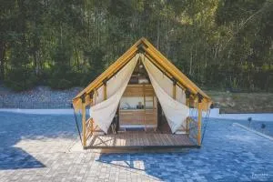Glamping Pod Gwiazdami Pietrusza Wola - Gogołów