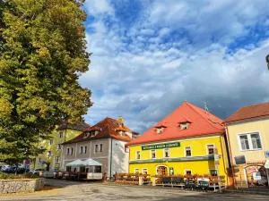 Pension U Kohoutů - 塞尔纳珀苏马维