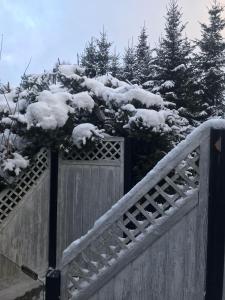 Schönwald Waldchalet am Musenberg