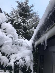 Schönwald Waldchalet am Musenberg