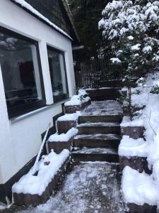Schönwald Waldchalet am Musenberg