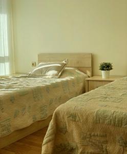 Beachfront Apartments by Martys