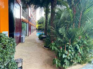 AYA APARTMENTS IN MBC