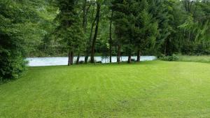 Ferienwohnung Hergesell