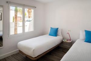 Areca by AGM Resorts