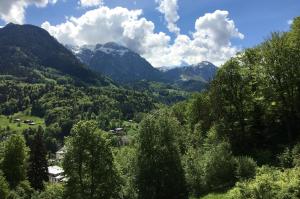 Schloss Fürstenstein