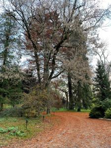 B&B / Chambres d'hotes Le Domaine de Moroges : photos des chambres