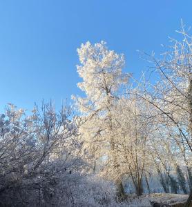 Le Domaine de Moroges