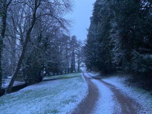 B&B / Chambres d'hotes Le Domaine de Moroges : photos des chambres