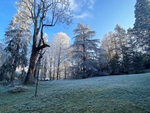 B&B / Chambres d'hotes Le Domaine de Moroges : photos des chambres