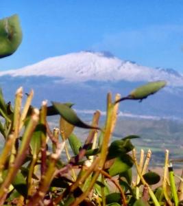 Cozys house nel cuore della città