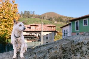 La Corrolada